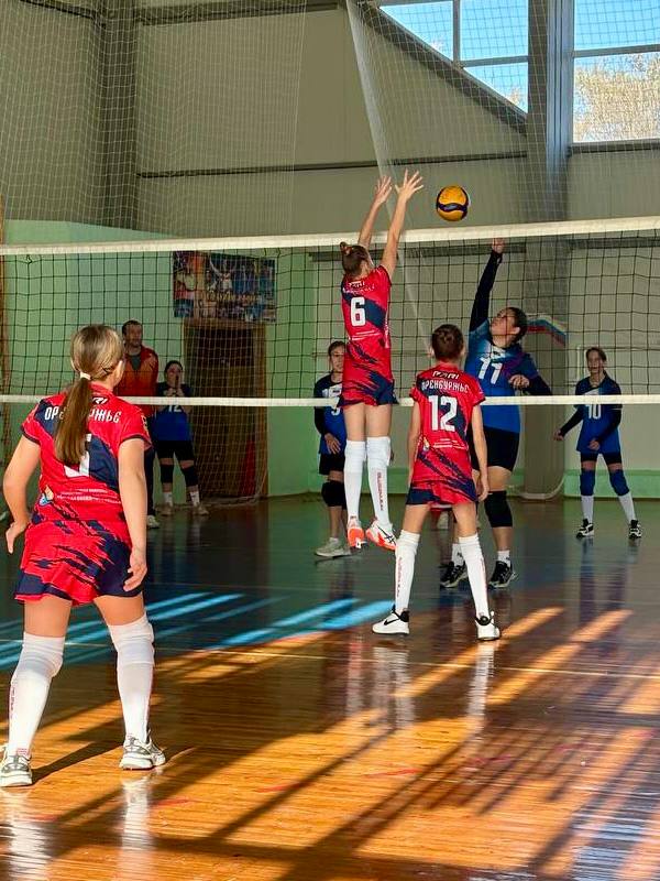 Областные соревнования по волейболу среди обучающихся 2013-2014 гг