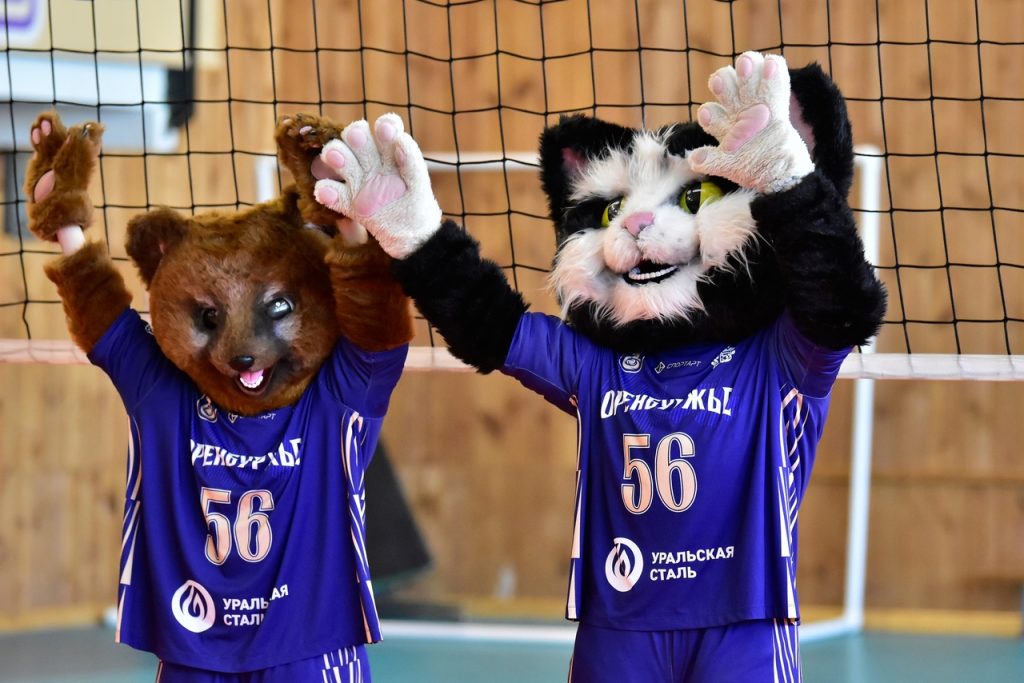 Развитие волейбола в районах: очередной мастер-класс состоялся в Грачёвке